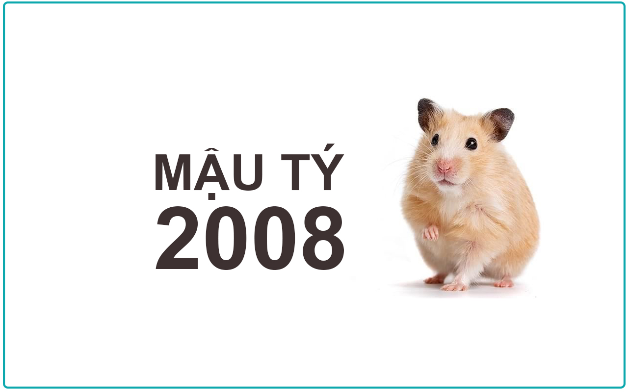 Mậu Tý 2008 mệnh gì