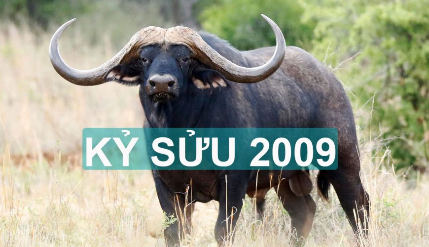 Kỷ Sửu 2009 Mệnh Gì?