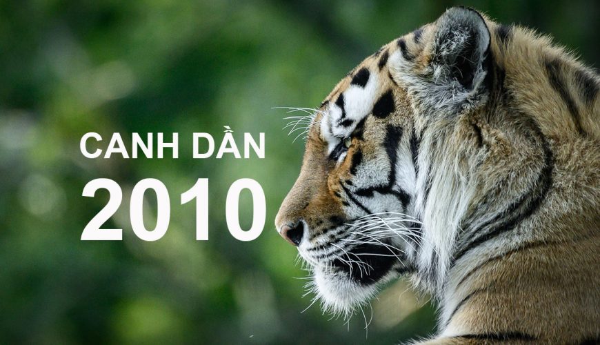 Canh Dần 2010 Mệnh Gì