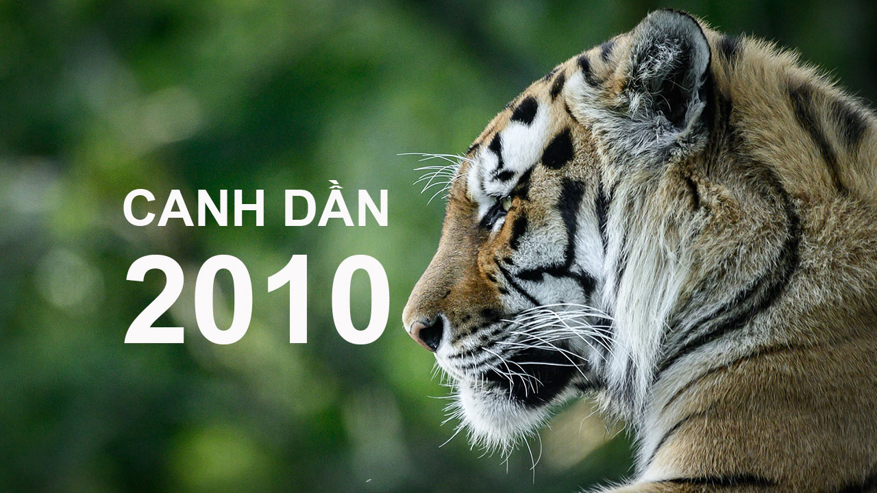 Canh Dần 2010 Mệnh Gì