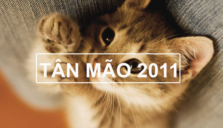 Tân Mão 2011 mệnh gì?