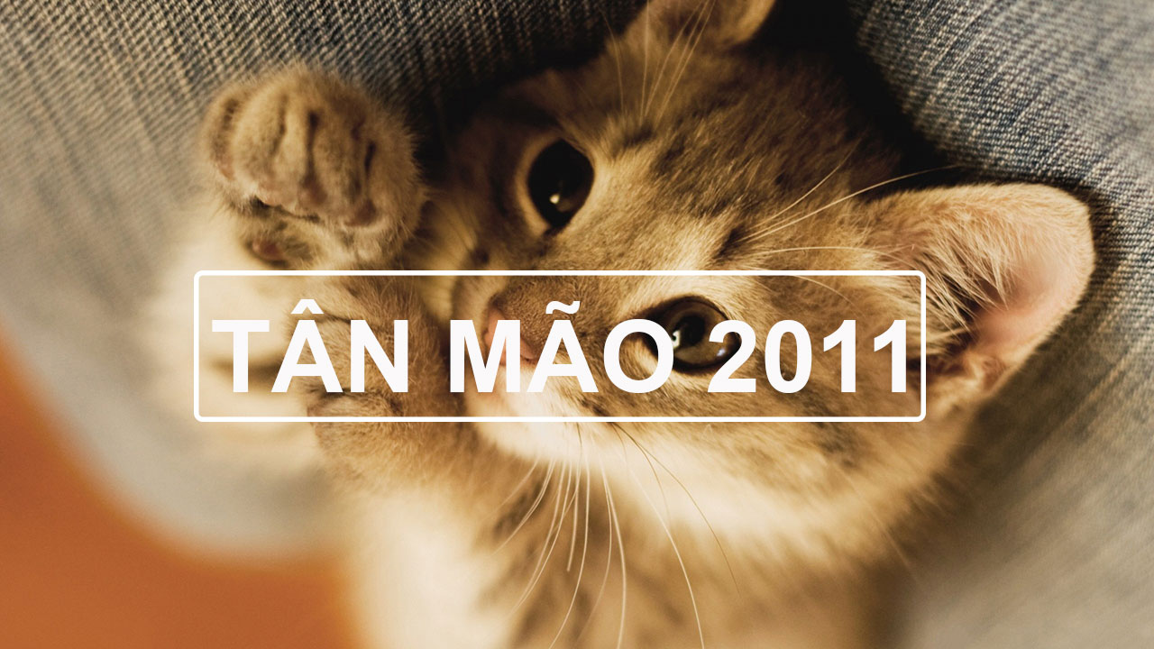 Tân Mão 2011 mệnh gì?