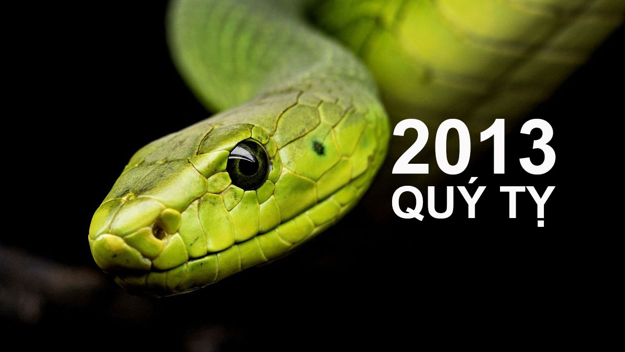 Quý Tỵ 2013 mệnh gì?