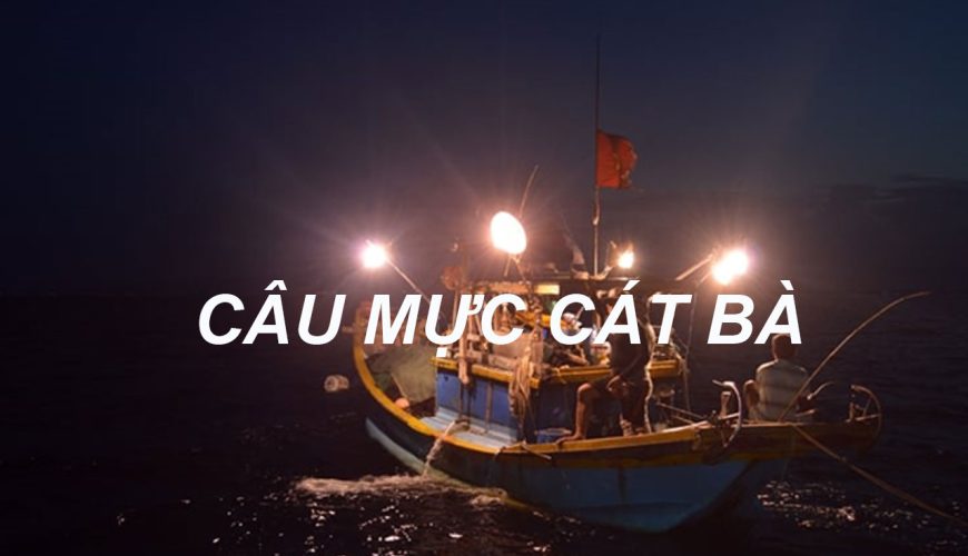 Tour Câu Mực Cát Bà từ 18h đến 23h hàng ngày