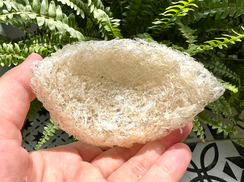 Bụng yến Nha Trang