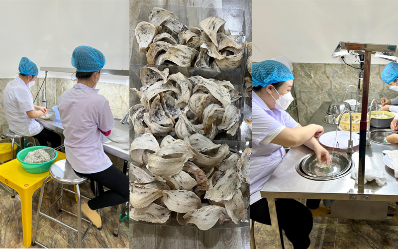 Thợ nhặt lông yến