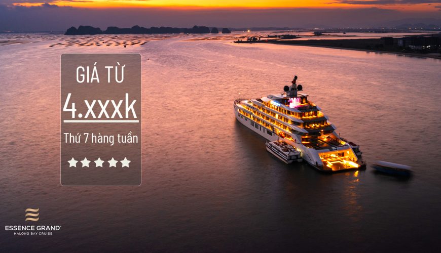 Quỹ phòng du thuyền Essence Grand 6 sao